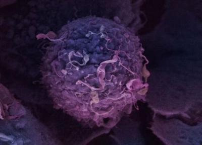 یافته جدید محققان درباره اثر دارویی که خطر سرطان پستان را نصف می نماید
