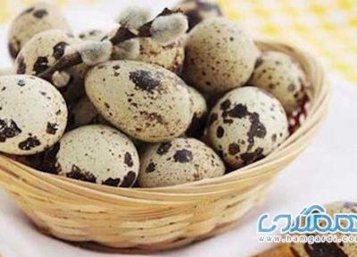 فواید تخم بلدرچین ، از درمان ریزش مو تا کم خونی