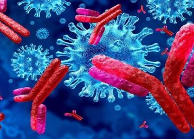 راهکارهای مطمئن برای مهار ویروس کرونا