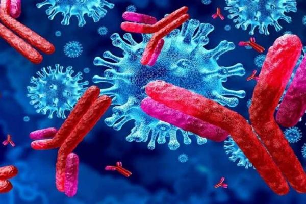 راهکارهای مطمئن برای مهار ویروس کرونا