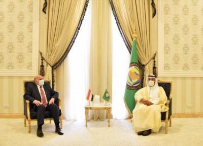 وزیر خارجه عراق با دبیرکل شورای همکاری خلیج فارس ملاقات کرد