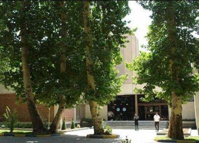 وزیر علوم جوابگوی قطع درختان دانشگاه تهران باشد